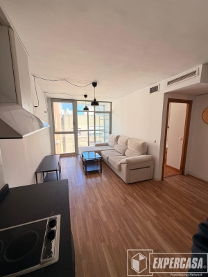 Foto de portada de PISO EN ALQUILER EN TORREFIEL