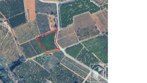 Foto de portada de Parcela/Terreno AGUA SALADA