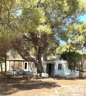 Foto de portada de ¡A la venta chalet en parcela rústica de 2.447 m²!