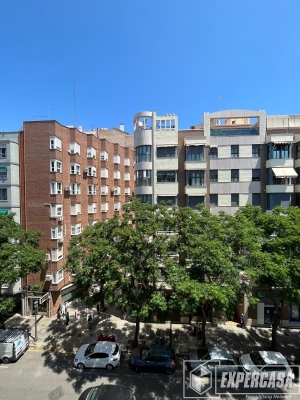 Foto de portada de PEDRO ALEIXANDRE