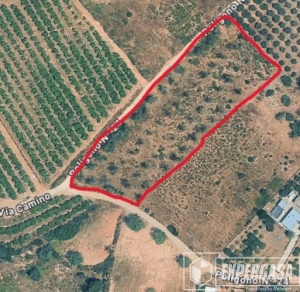 Foto de portada de En venta PARCELA en Cheste